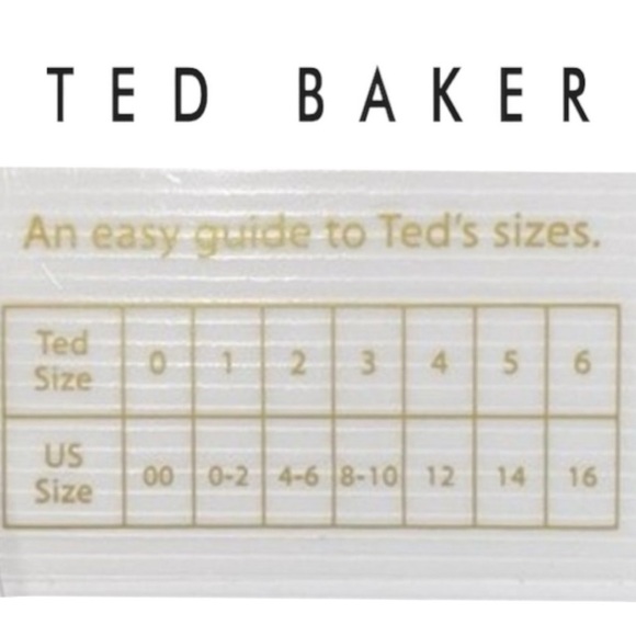 Ted Baker White Frizay Lace Bodice Pleated Tea Length Dress sz 2 - Picture 4 of 15